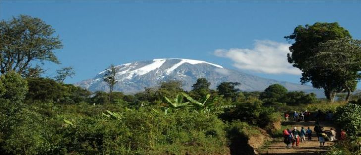 a-kilimanjaro-view-tk