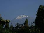 moshi-beautiful-view-kilimanjaro-forest